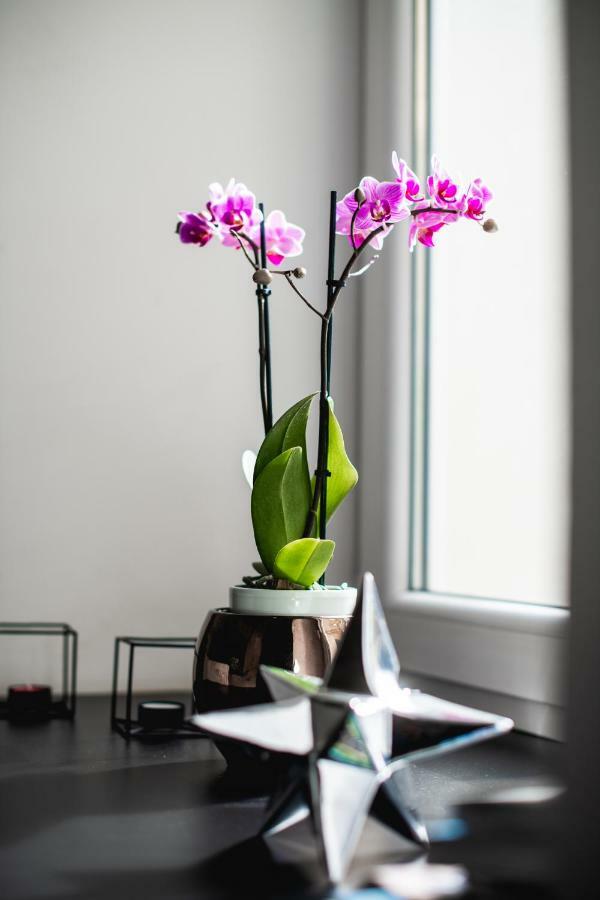 Hanna'S Suite With Free Parking Любляна Екстер'єр фото
